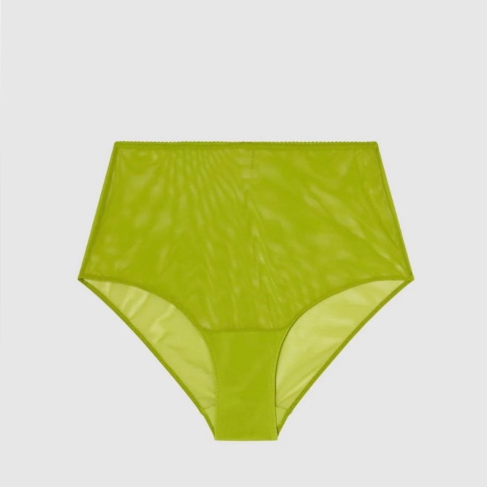 NWT Understatement High Waist Mesh Briefs